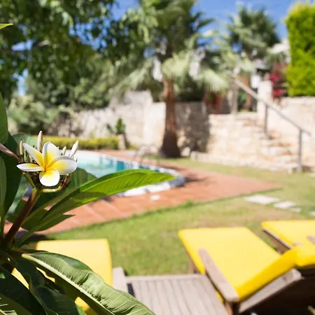 Ioanna's Dreams Villas * Spiliá